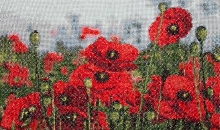 Маковое поле