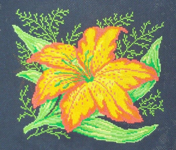 Лилия от Риолис