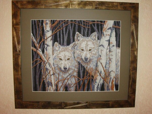 Волки в подарок