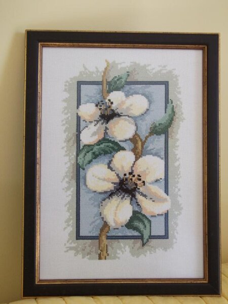 Vo vsei krase. Podarila pape na DR