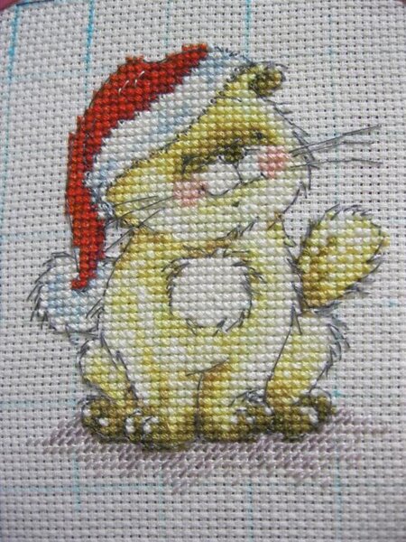 котик solo от Anchor