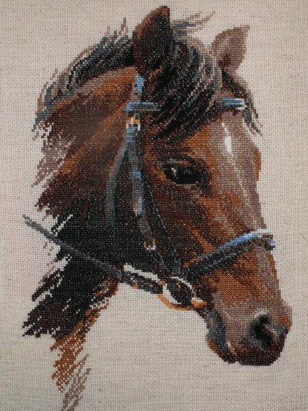 Булат Риолис