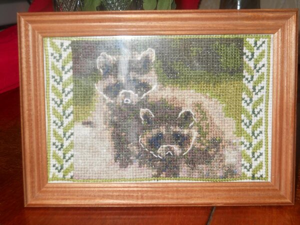 Два енота, собственная схема.