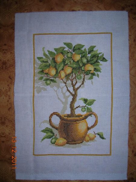 Лимонное дерево