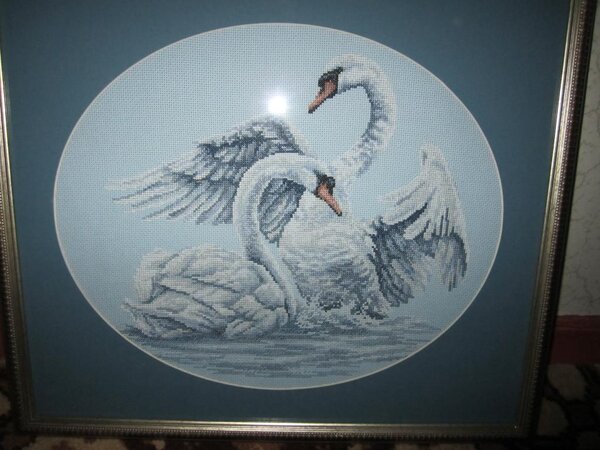 IMG 0413 "Лебединая верность" РТО