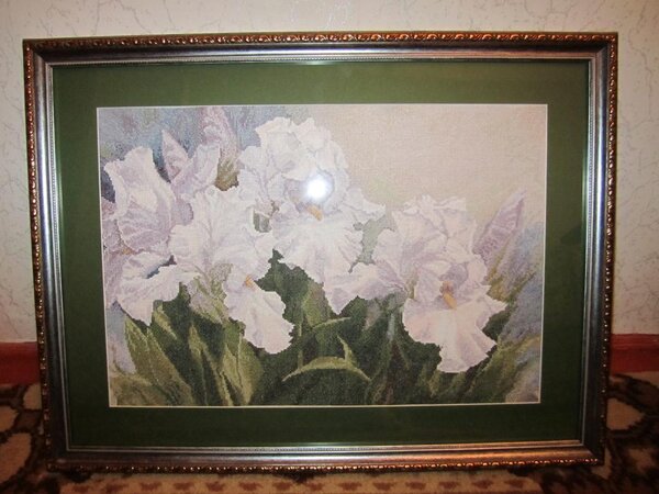 IMG 0420 "Ирисы" набор "Краса и творчество"