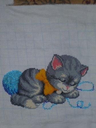 зимний котенок