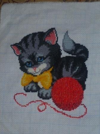 летний котенок