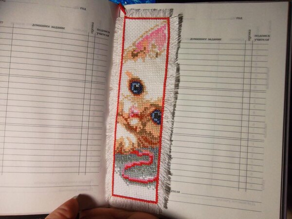 131.555 закладка Кот 2 место