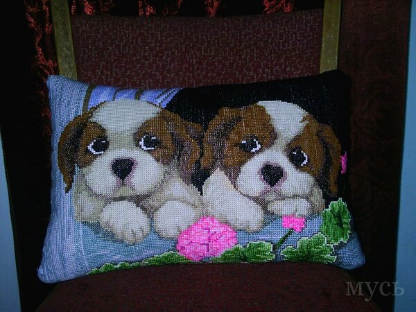 "Парочка"-схема с интернета,нитки акрил,подбором4105 9