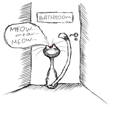 bathroom cat