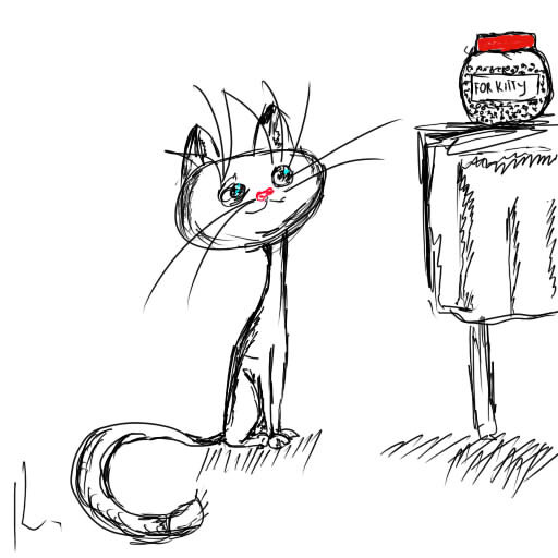for kitty