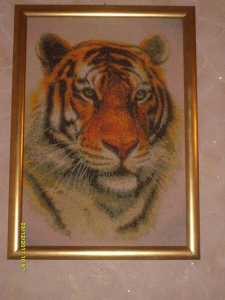 мой любимый тигр