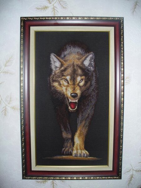 Волчица
Золотое Руно