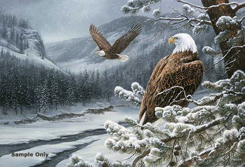 x 7286a541