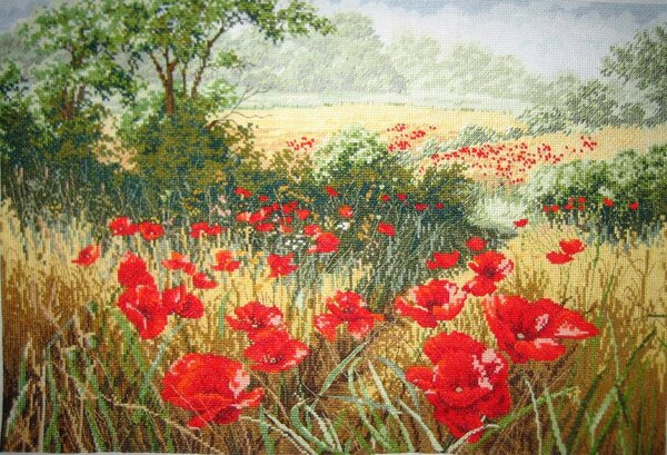 Anchor "Маковое поле".
Начала в октябре 2011, с большими перерывами закончила в марте 2012 г. Подбор ДМС.