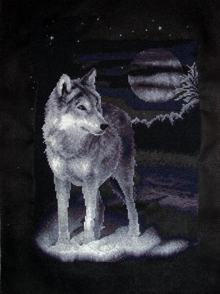 Panna 24,5x36см Белый волк 
Моя 5-ая работа