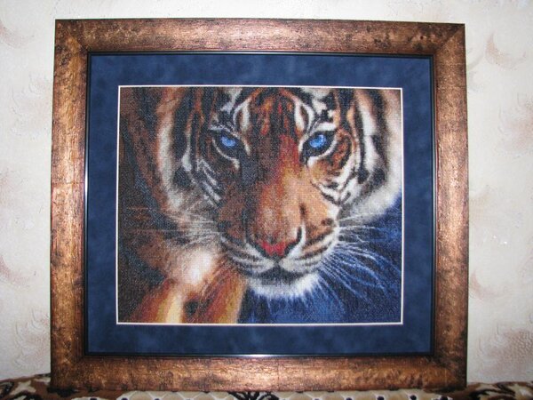 Тигр "Голубые шлаза", 
дизайн Kustom Kraft,
художник Collin Bogle