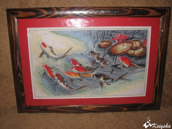 рыбки кои от ДМС