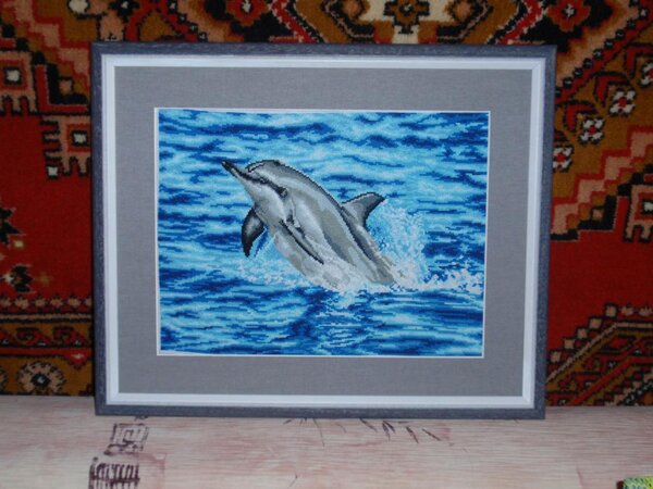 Дельфин