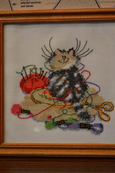 003 - Мой любимый кот ) Увидела, и влюбилась!