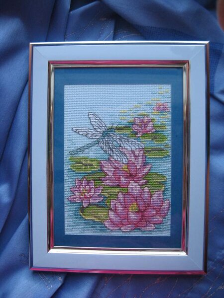 водяные лилии