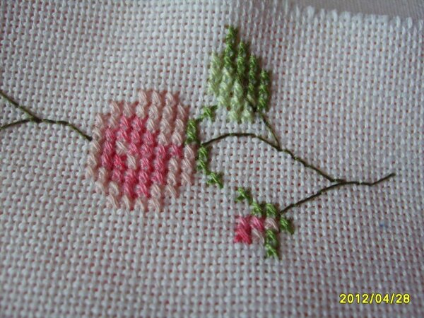 Саше - крупный план