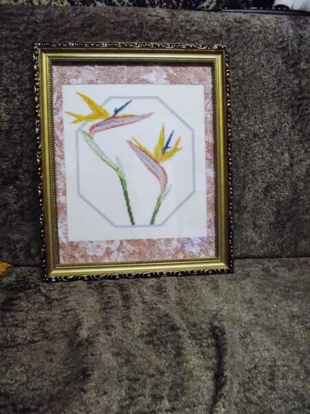 2223 009
для знакомой