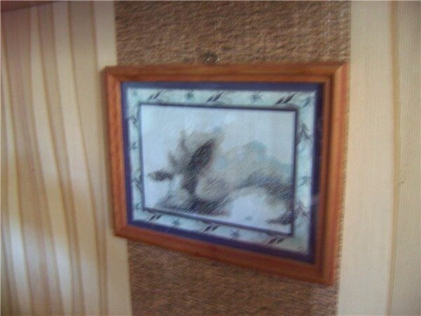 792109dc4603
для знакомой кошатницы