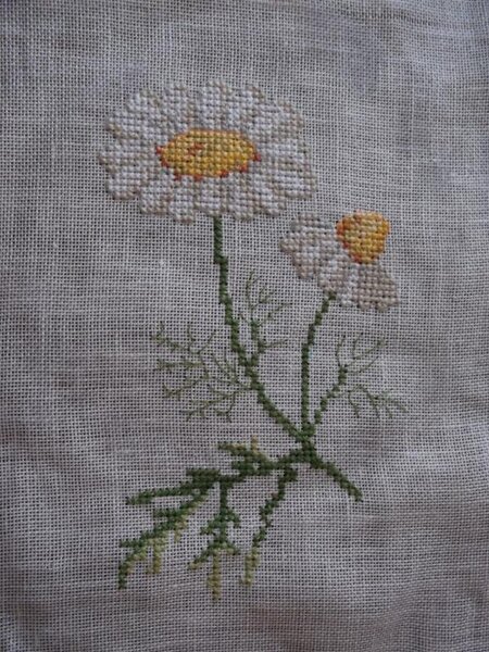 DSCF0553работа в робине