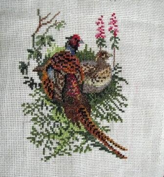 DSCF3582 работа в робине