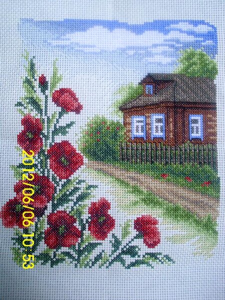 Panna Цветы у дома 16х19 моя седьмая робота