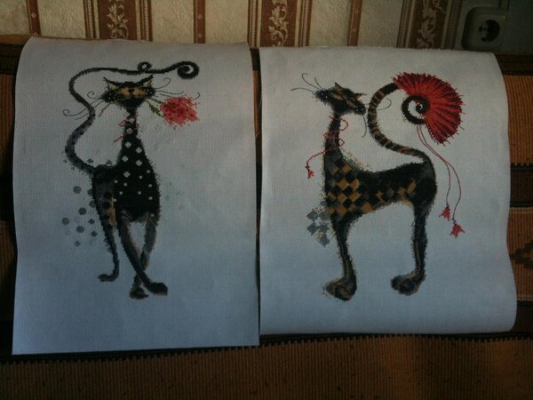 Коты: Джаспер и Себастьян!