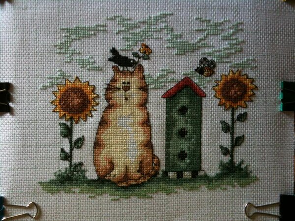 Кот и скворечник