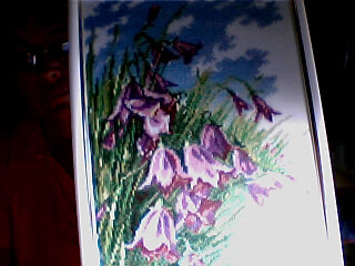 Photo20120620064441631