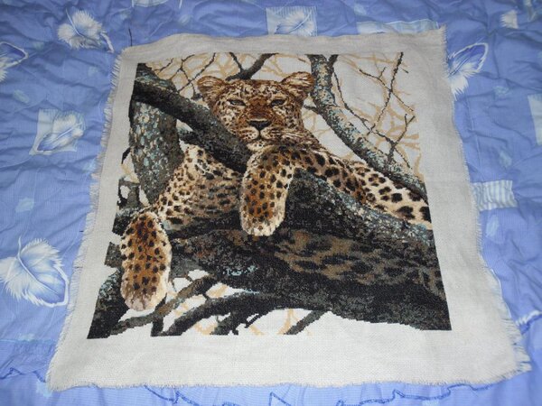 "Леопард" от Риолис