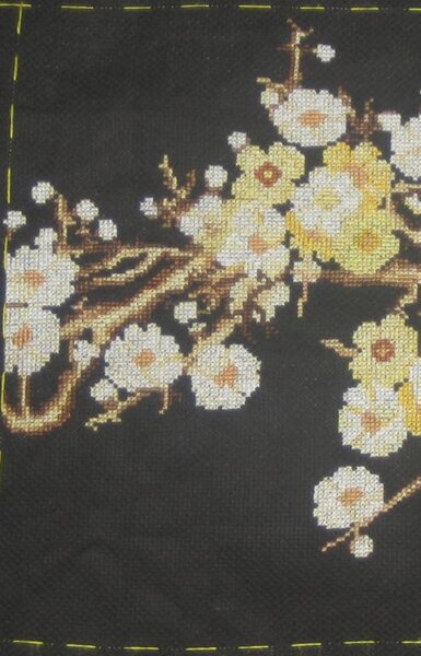 RR-2011 - Сакура