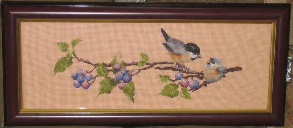 Мои любимые синички