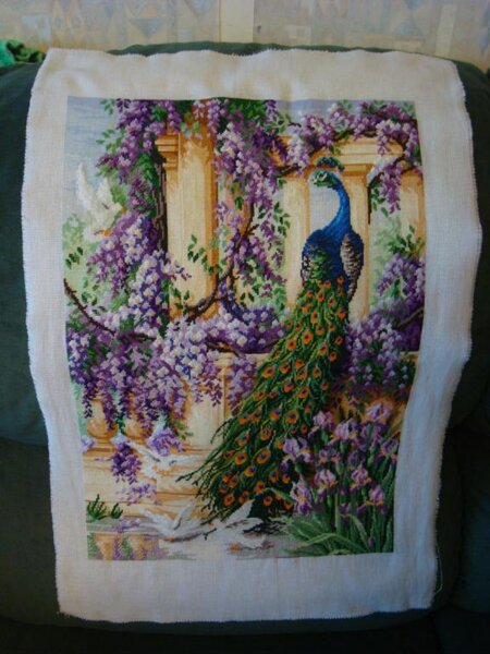 "В райском саду" пока без бэка