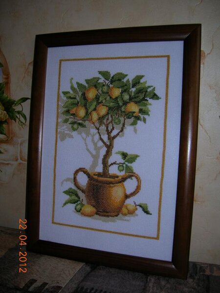 Лимонное деревце