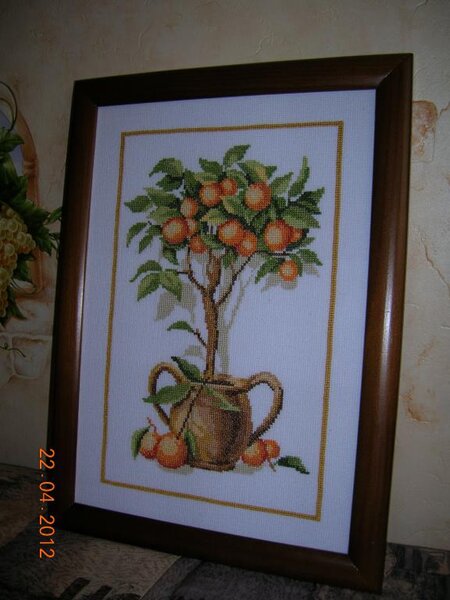 Апельсиновое деревце