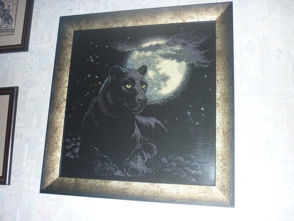 "Полнолуние"