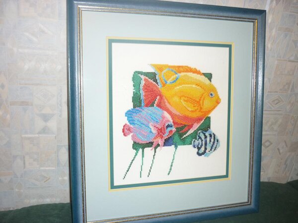 "Жёлтая рыбка"