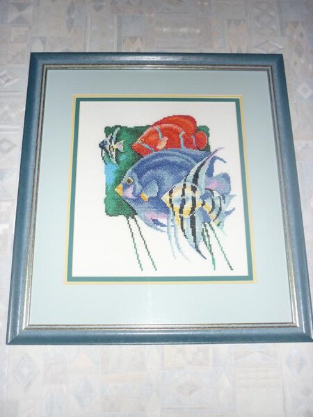 "Синяя рыбка"