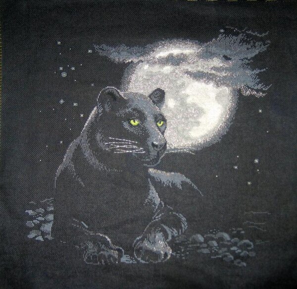 "Полнолуние" июнь - август 2012