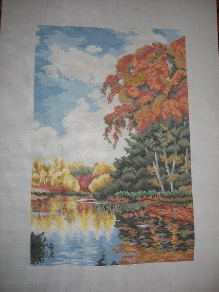 Пруд в Петровско-Разумовском