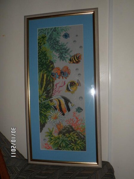 морское дно