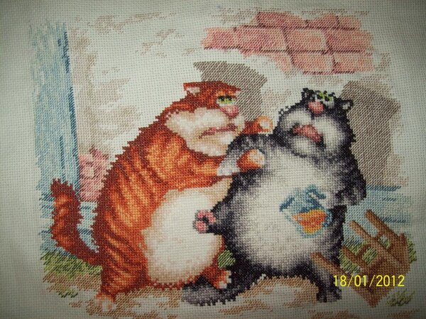 10 яю забияки