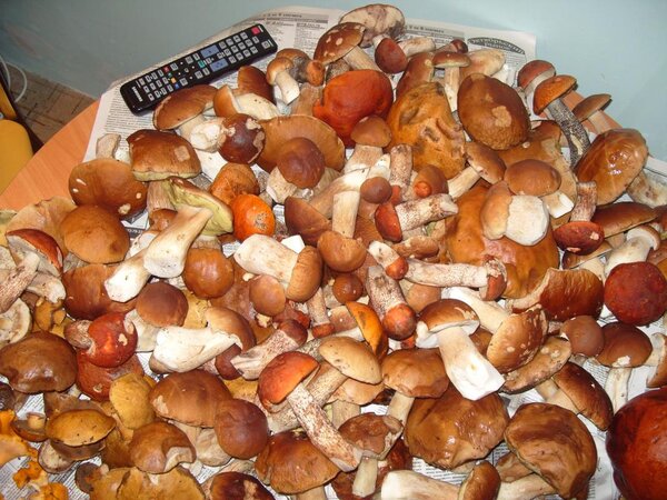 Еще одно хобби