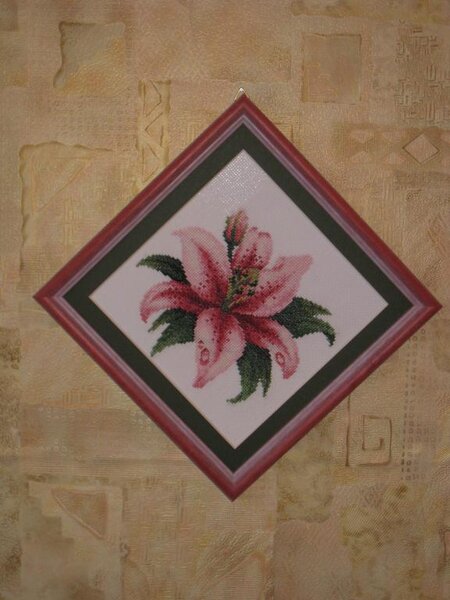 Красная лилия с каплей